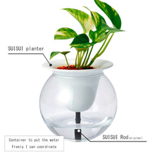 將圖片載入圖庫檢視器 kyuemon self-watering Suisuiplanter 汲汲綠花盆 - SOLOBITO
