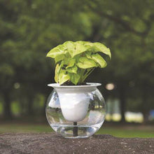 將圖片載入圖庫檢視器 kyuemon self-watering Suisuiplanter 汲汲綠花盆 - SOLOBITO