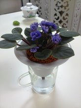 將圖片載入圖庫檢視器 kyuemon self-watering Suisuiplanter 汲汲綠花盆 - SOLOBITO