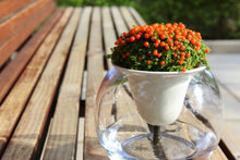 將圖片載入圖庫檢視器 kyuemon self-watering Suisuiplanter 汲汲綠花盆 - SOLOBITO